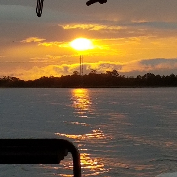 Meet your Posher, Roisin - Picture 1 of 1